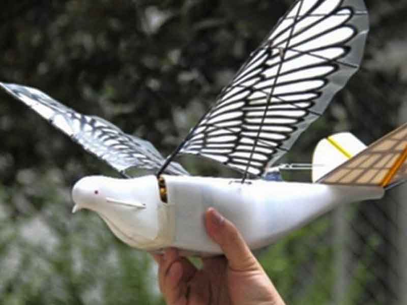 drone burung