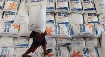 Bulog Raup Laba Rp66,1 Miliar dari Pendapatan Rp60,2 T